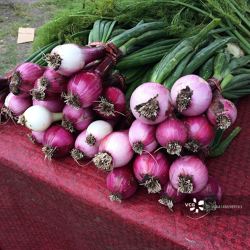 地球日的挑战图片素材