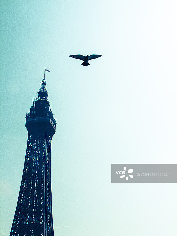 布莱克浦塔与飞鸟图片素材