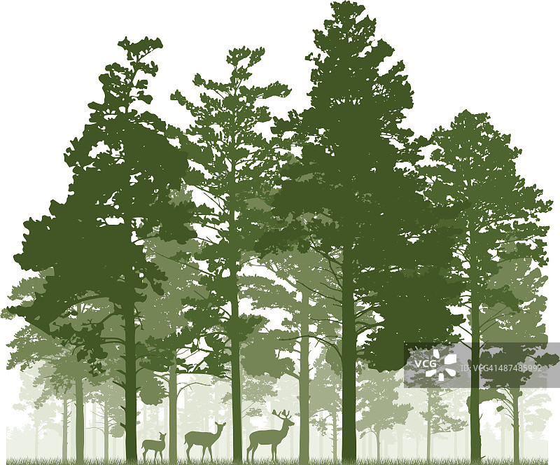 针叶林和鹿群图片素材