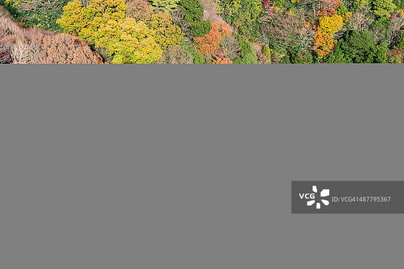 秋天的摩耶山图片素材