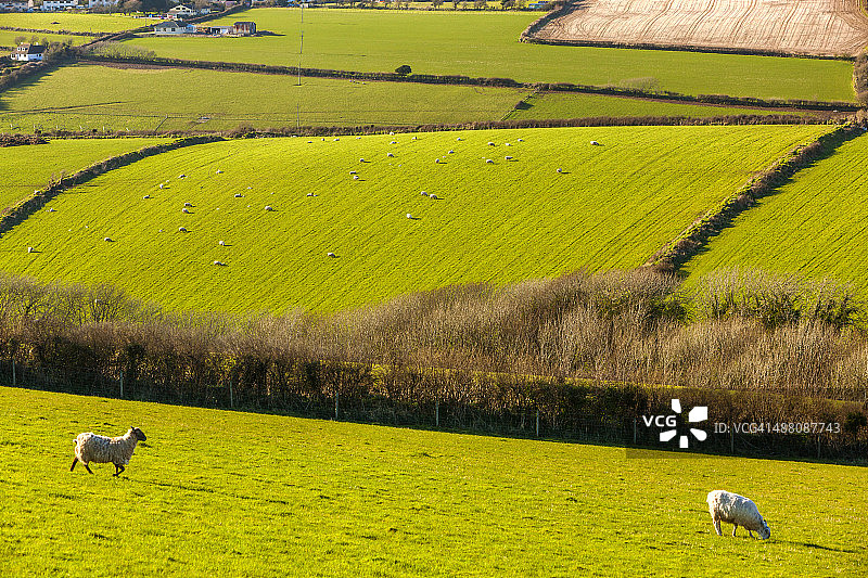 乡村田园风光图片素材