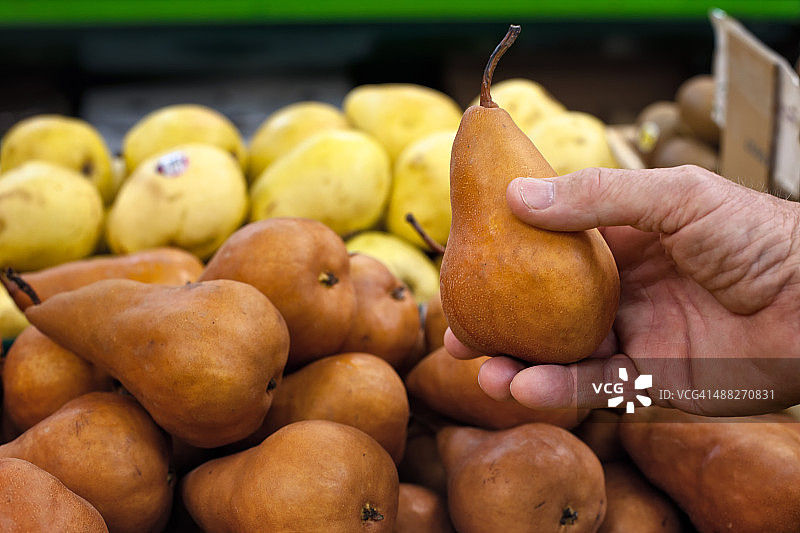 有机水果：梨图片素材