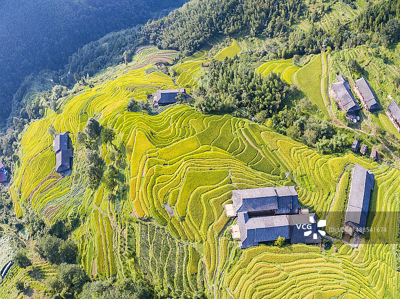 龙脊梯田鸟瞰图片素材