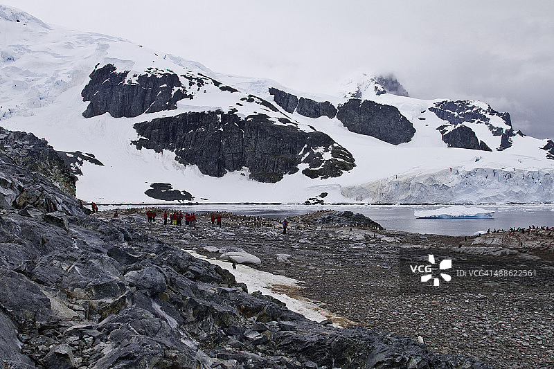南极洲库弗维尔岛图片素材