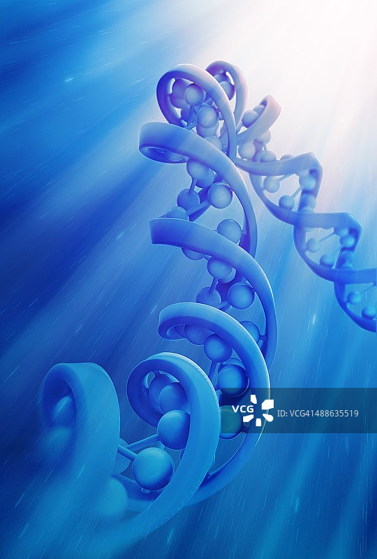 DNA链模型艺术作品图片素材