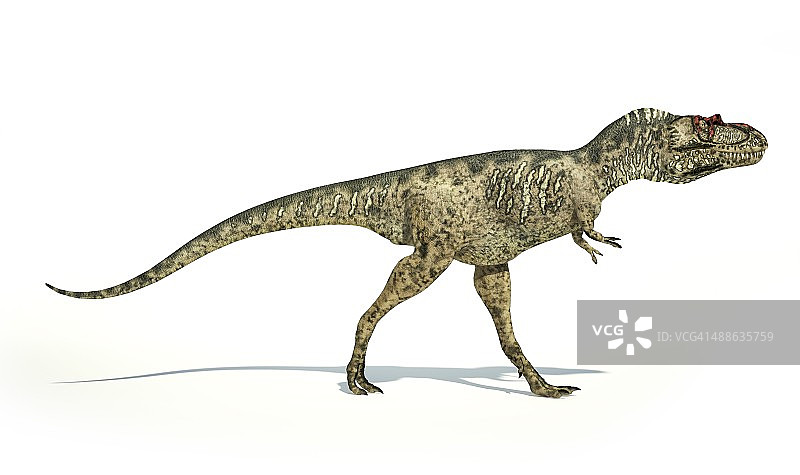 艾伯托龙恐龙艺术图图片素材