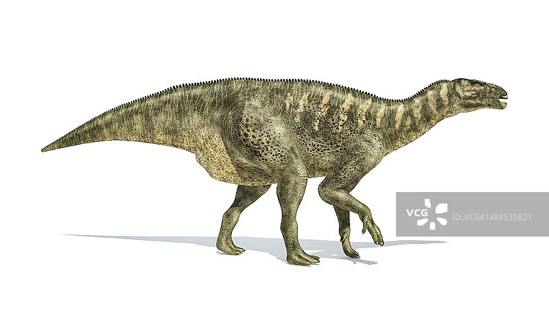 禽龙恐龙艺术作品图片素材