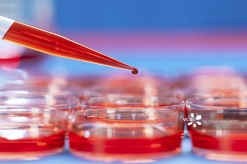 培养皿和移液器图片素材