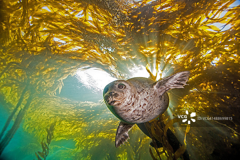 避开阳光图片素材