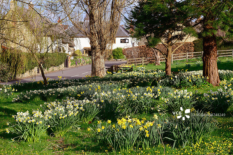 科克尔东部的春天花卉图片素材