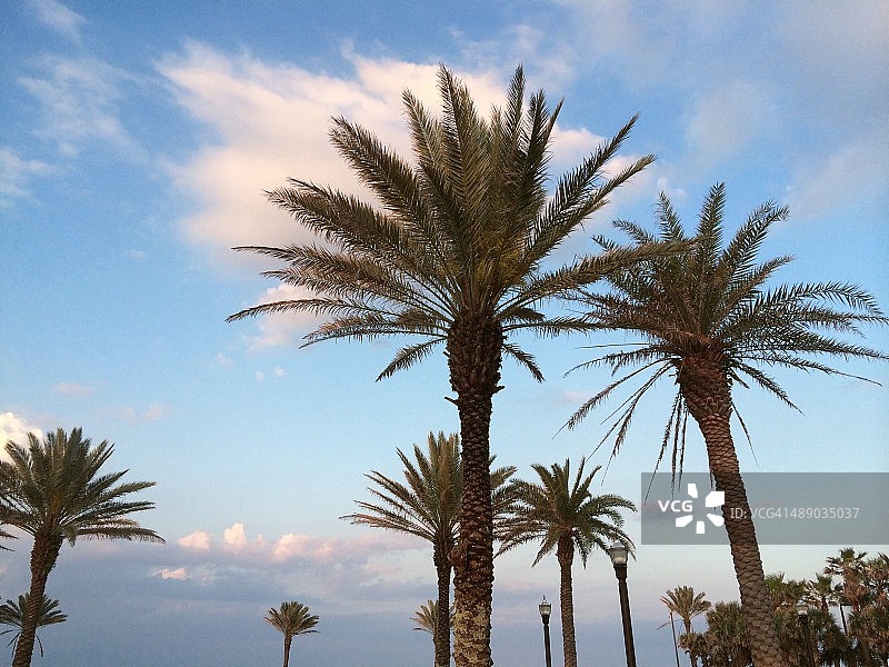 植树节图片素材