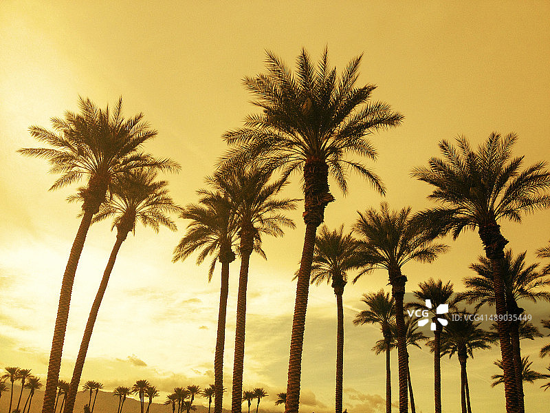 植树节图片素材