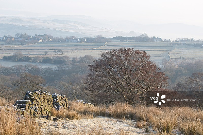 植树节图片素材
