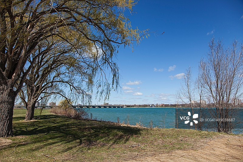 植树节图片素材