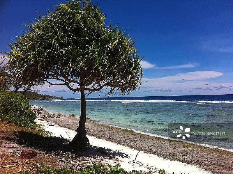 植树节图片素材