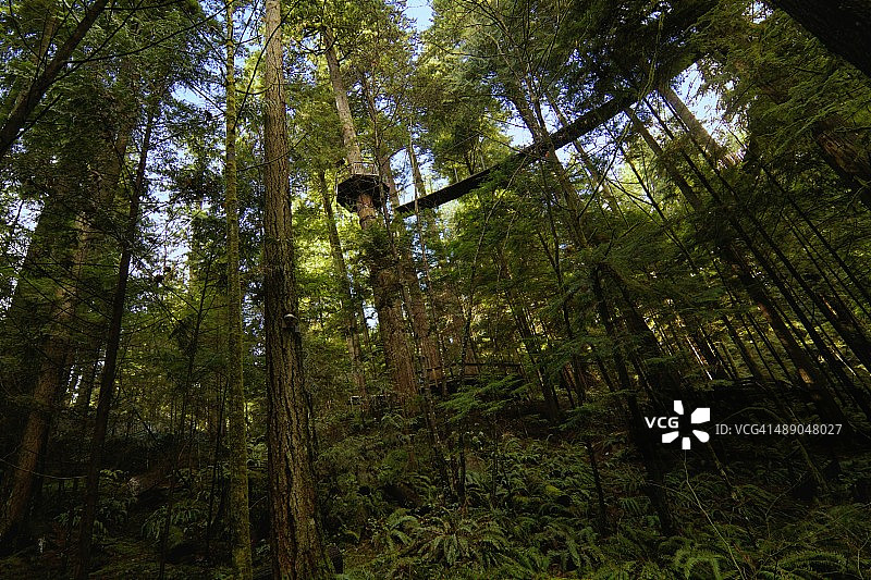 植树节图片素材
