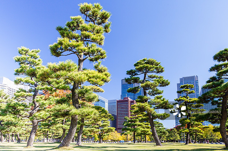 植树节图片素材