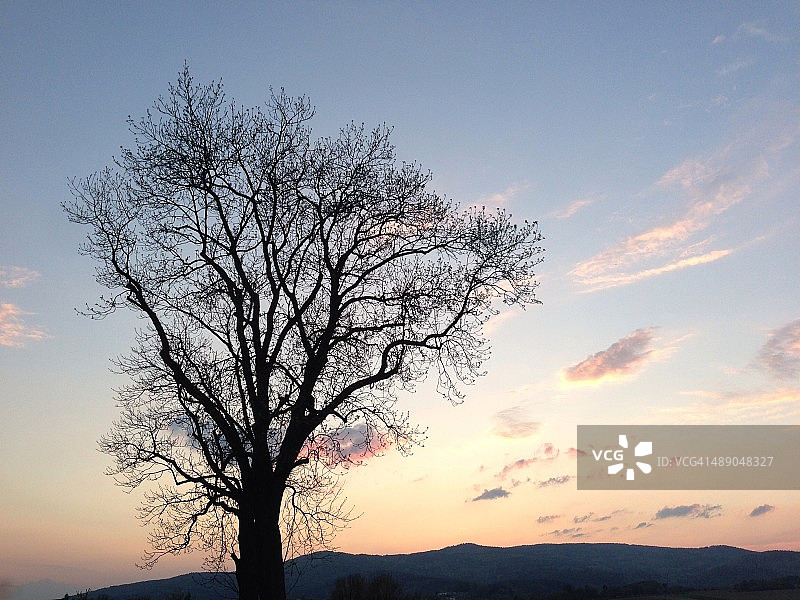 植树节图片素材