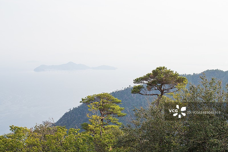 植树节图片素材