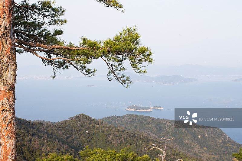 植树节图片素材