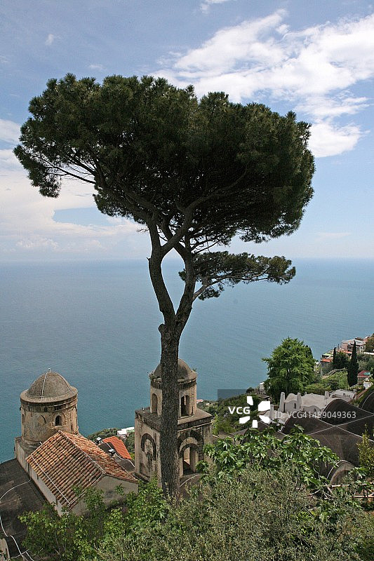 植树节图片素材