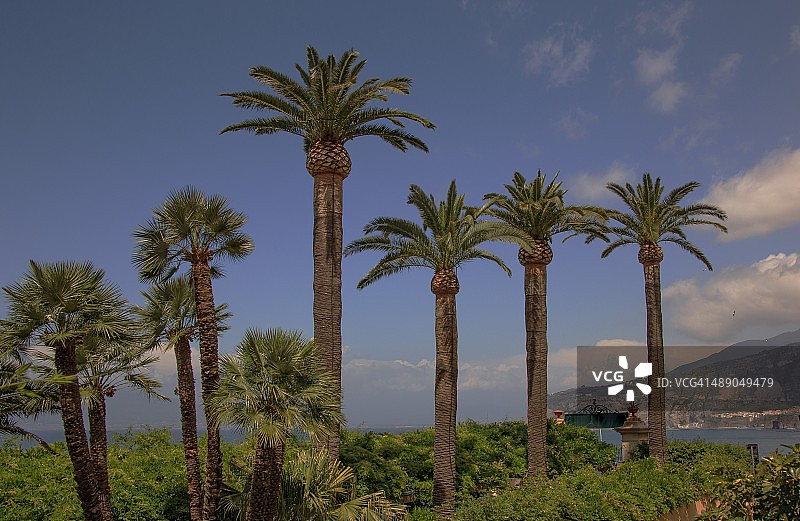 植树节图片素材