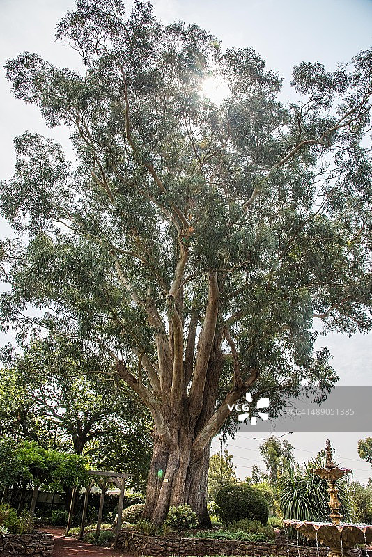 植树节图片素材