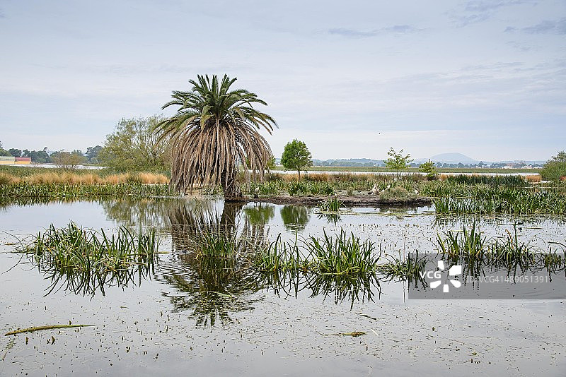 植树节图片素材