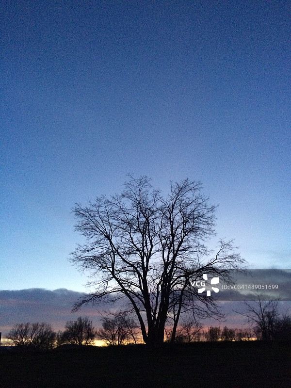 植树节图片素材