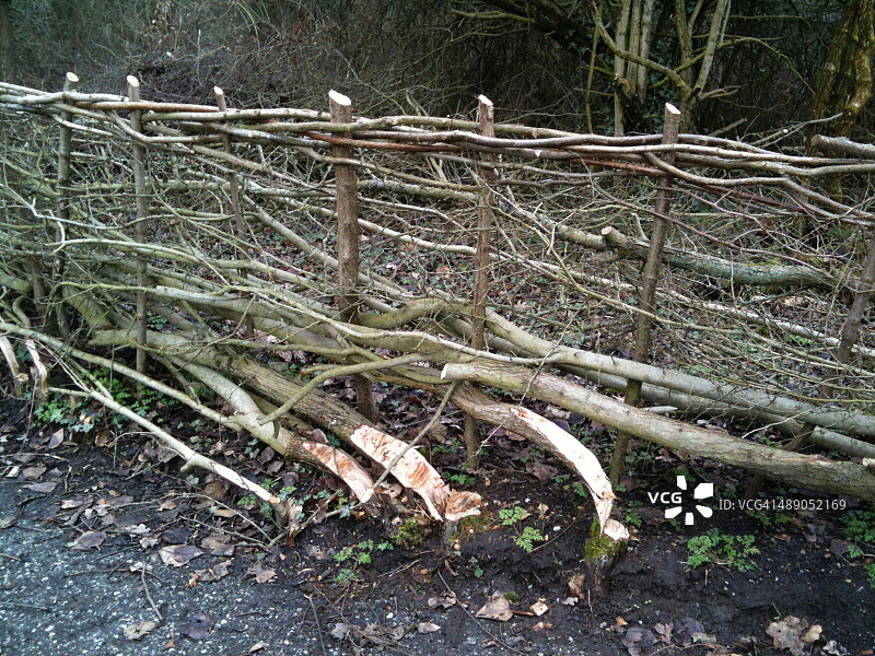 地球日的挑战图片素材