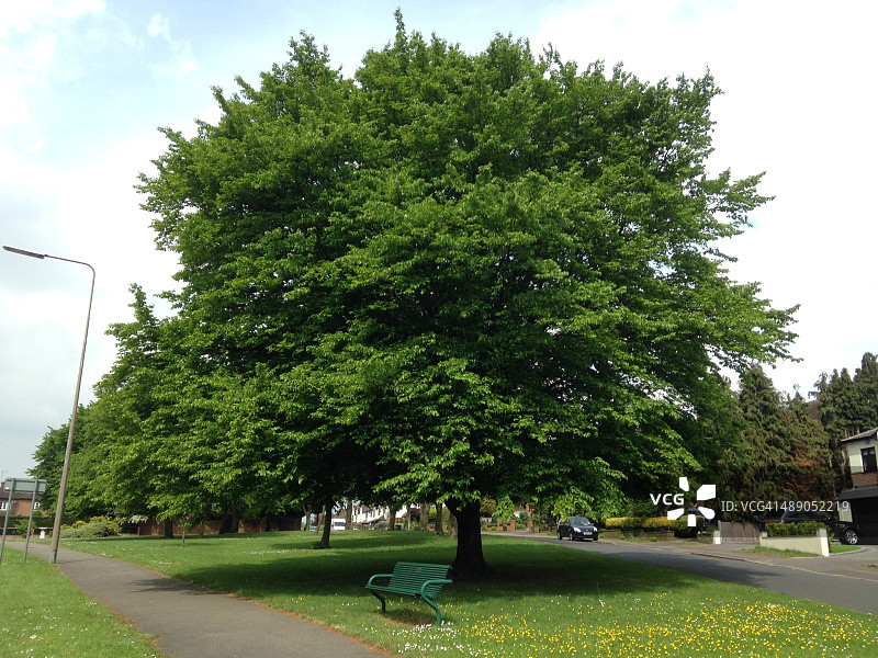 植树节图片素材