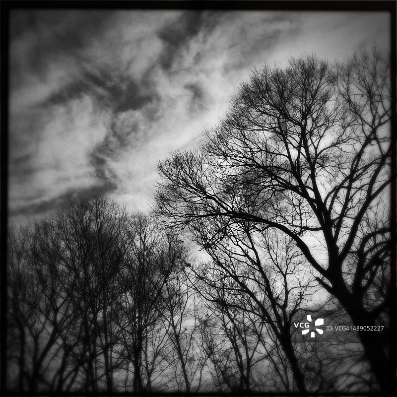 植树节图片素材