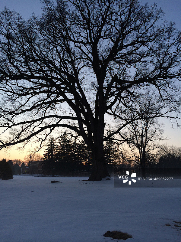 植树节图片素材