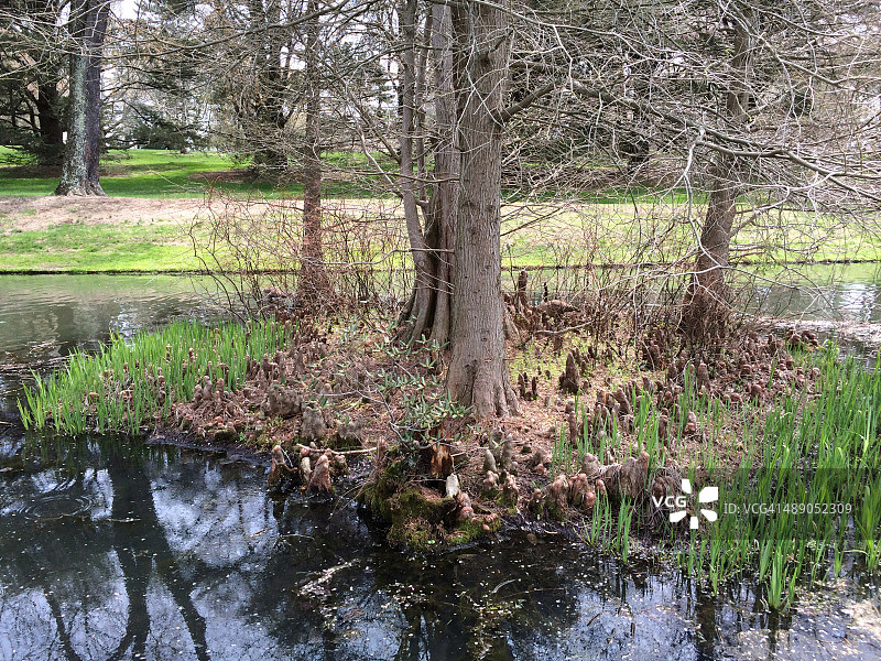 植树节图片素材