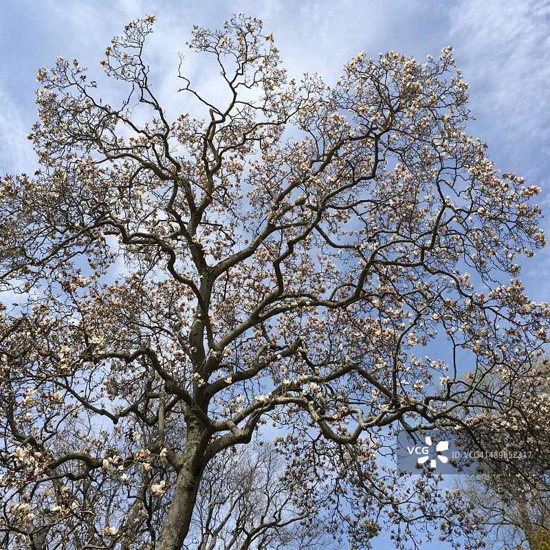 植树节图片素材