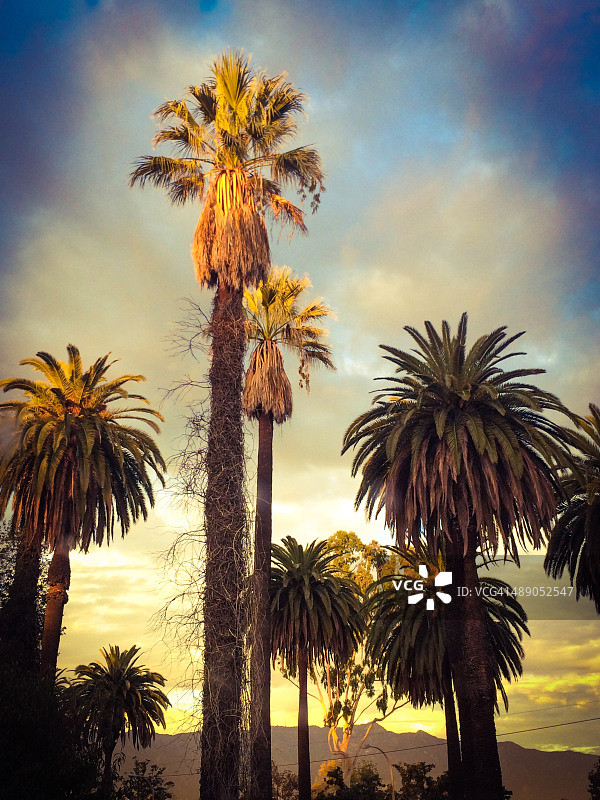 植树节图片素材