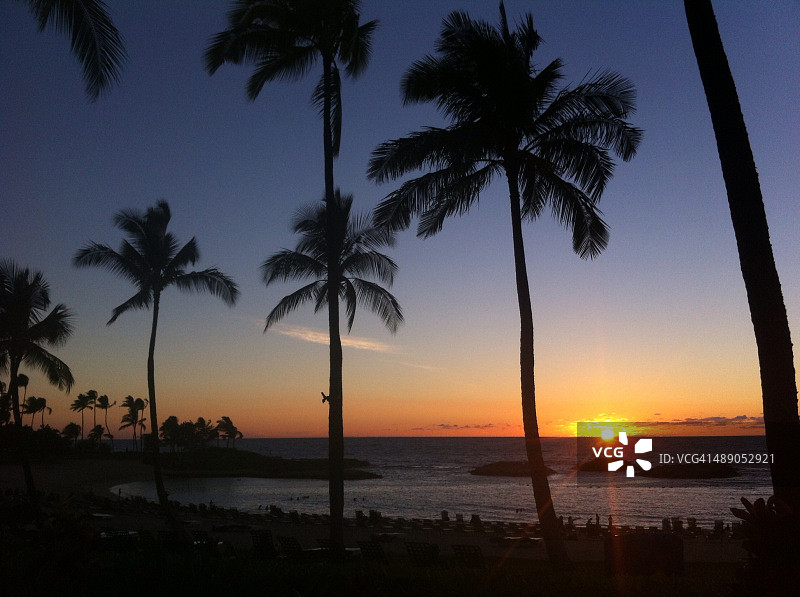 植树节图片素材