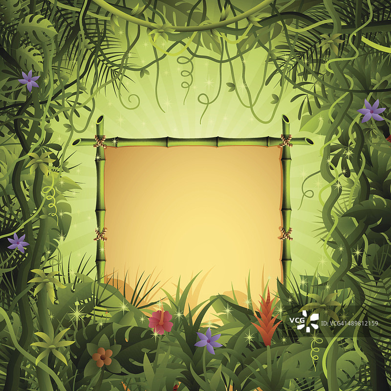 丛林中的竹子banner图片素材