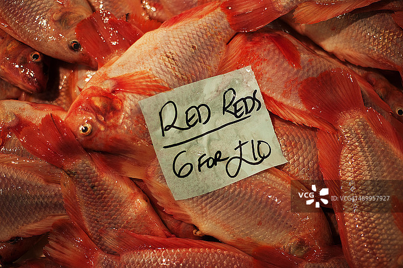 鱼市上的红鱼图片素材