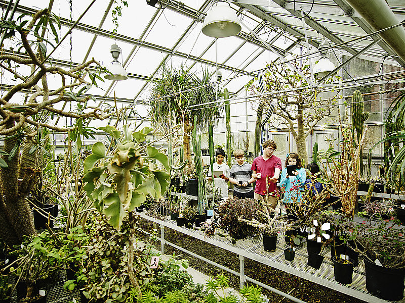 男植物学家带领学生参观温室图片素材