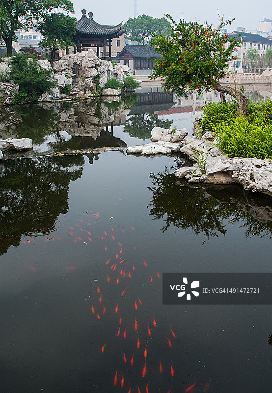 中式园林中的红鱼图片素材