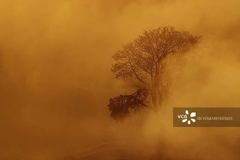 日落雪雾图片素材