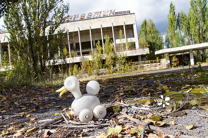 放射性鸭子图片素材