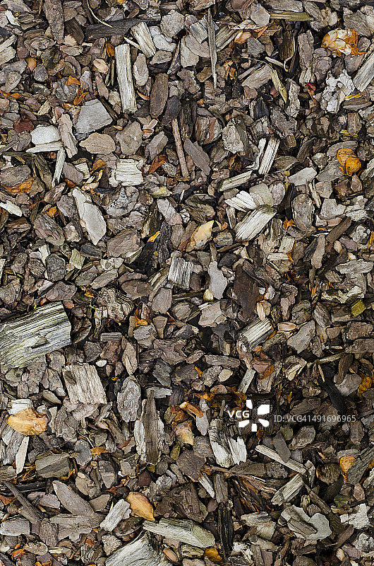 木片和树皮图片素材