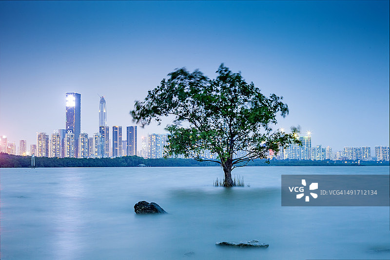 深圳湾图片素材