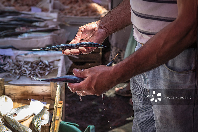 卡塔尼亚鱼市图片素材