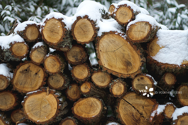 雪覆盖的木头图片素材