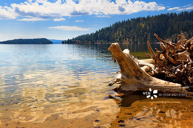 麦考尔佩耶特湖北岸的原木图片素材