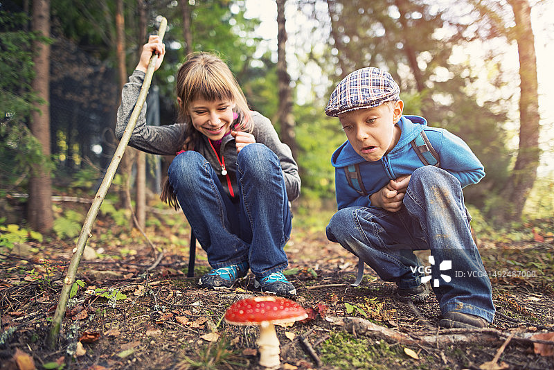 小徒步者发现了伞菌图片素材