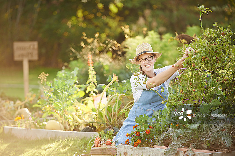 丰收快乐！图片素材